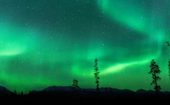 Paseo en trineo tirado por moto de nieve en Rovaniemi - Excursiones y Visitas guiadas en español Buendía Laponia, Finlandia
