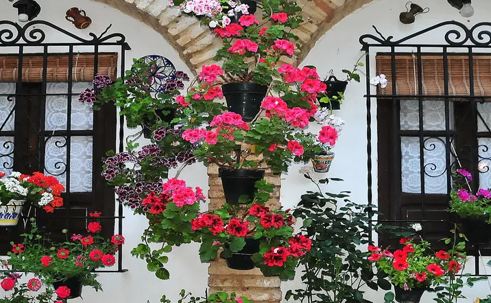 Patio típico de Córdoba - Visita a los Patios de Córdoba con entradas incluidas - Excursiones y Actividades en Córdoba - Buendía