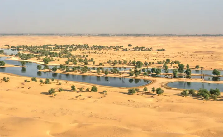 Safari Premium por las Dunas Rojas y el Oasis de Marmoon - Excursiones y Visitas guiadas en español Buendía Emiratos Árabes 