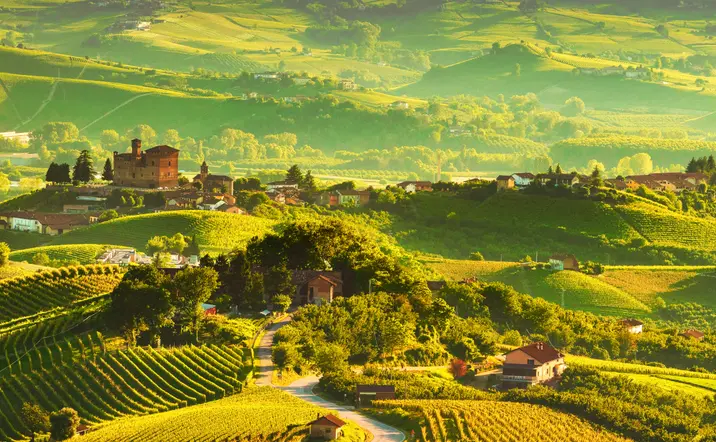 Excursión a Siena y cata de vinos en el Chianti desde Florencia - Visitas guiadas y Excursiones en español Buendía Italia