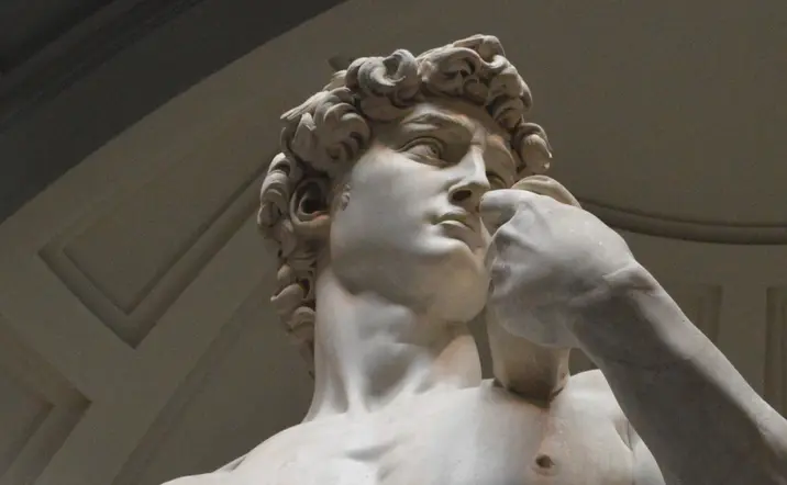 Tour por Florencia y Visita la galería de la Academia