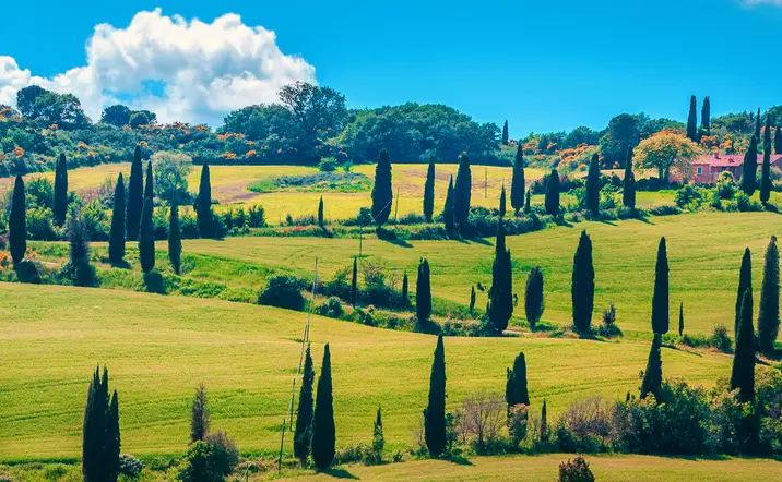 Excursión a Pienza y Montepulciano con cata de vinos - Visitas guiadas y Excursiones en español Buendía Italia
