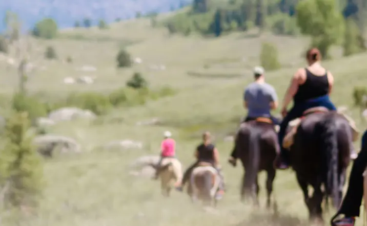 Ruta a Caballo en Arriondas - Experiencias, Actividades, Turismo activo, Ocio al aire libre - Asturias - Buendía 