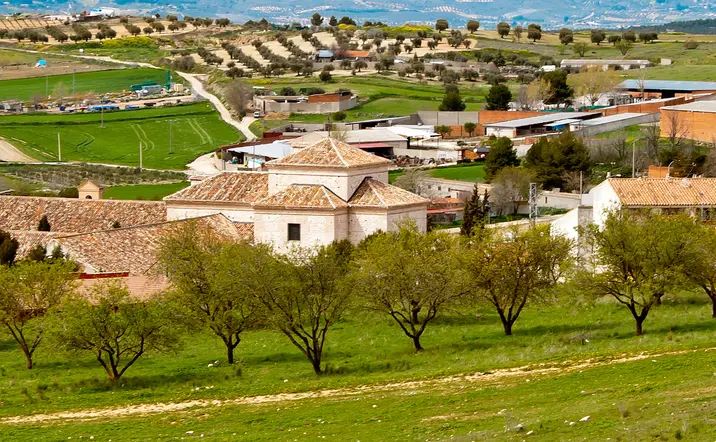 Visita a la Bodega del Nero