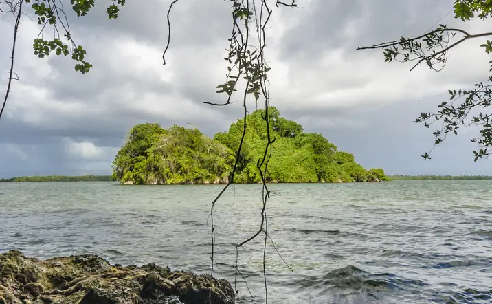 Excursión a los Haitises y Cascada Rancho Yanigua.