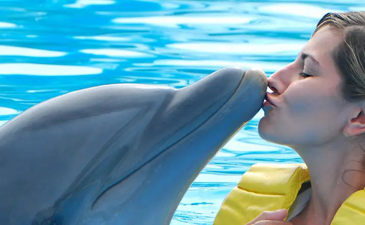 Visita a la Dolphin Island de Punta Cana