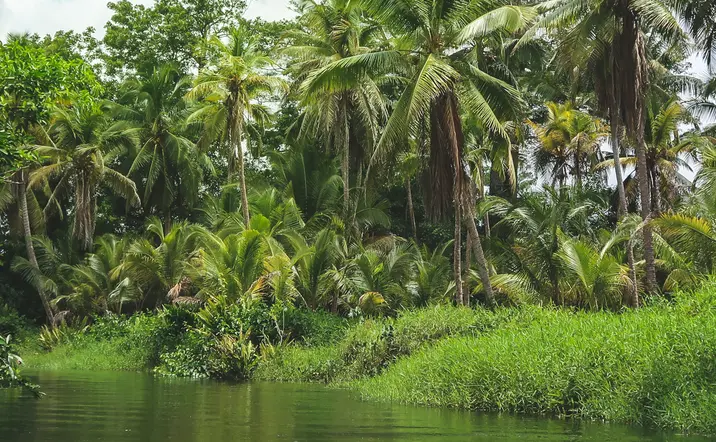 Safari en Punta Cana