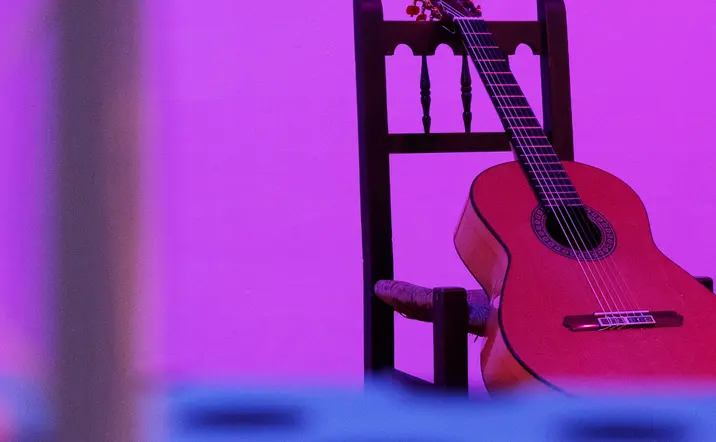 Espectáculo en el Tablao Flamenco de Los Molinos