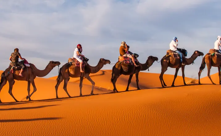 Paseo en camello al atardecer por el Palmeral