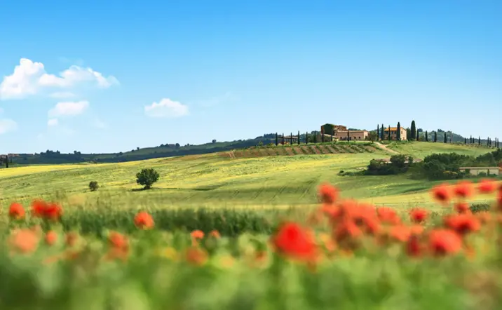 Paisaje de la Toscana en Italia con colinas verdes, campos de amapolas en primer plano, cipreses alineados y casas rurales bajo un cielo azul despejado.