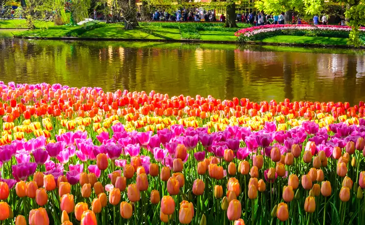 Entrada a los Jardines de Keukenhof