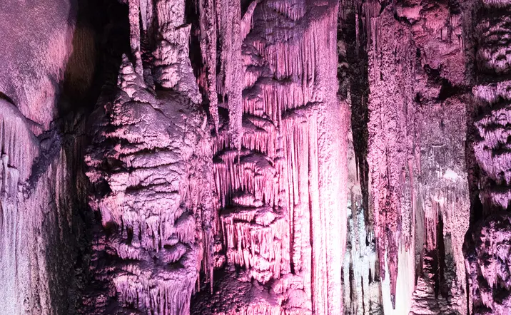 Excursión a las Cuevas del Drach