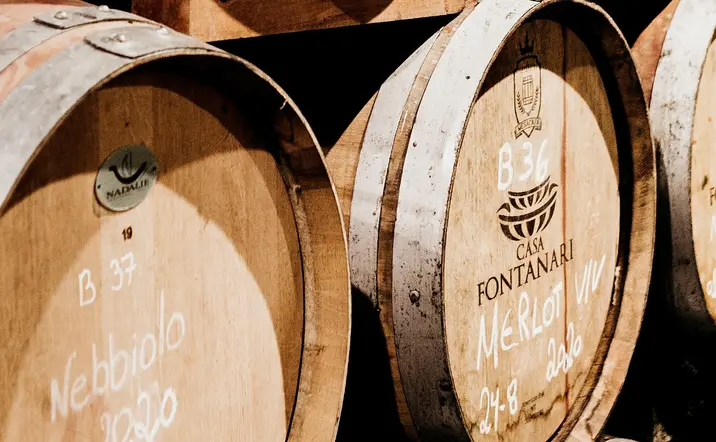 Excursión en 4x4 por Madeira y Cata de vino desde Funchal