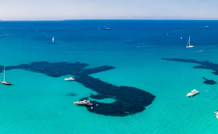 Excursión en Catamarán a Es Trenc y Es Cargol desde Sant Jordi