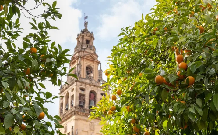 Visitar la Mezquita de Córdoba