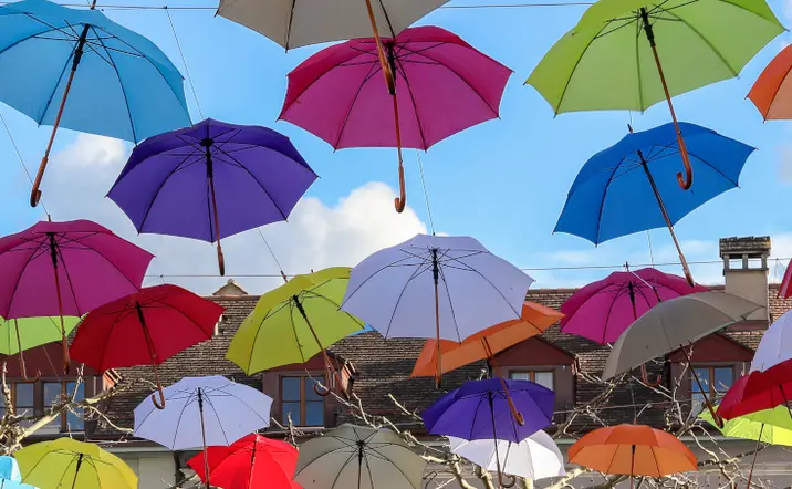 Excursión a Annecy y Visita Guiada de Ginebra