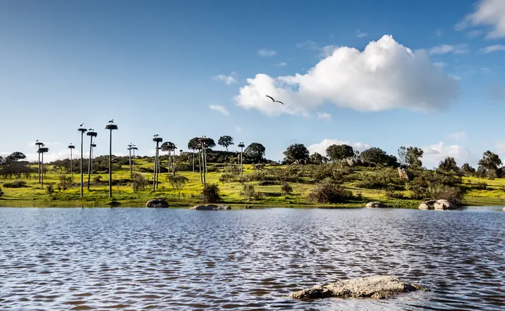 Excursión a los Barruecos desde Cáceres