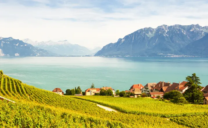 Tour por la Riviera Suiza desde Ginebra