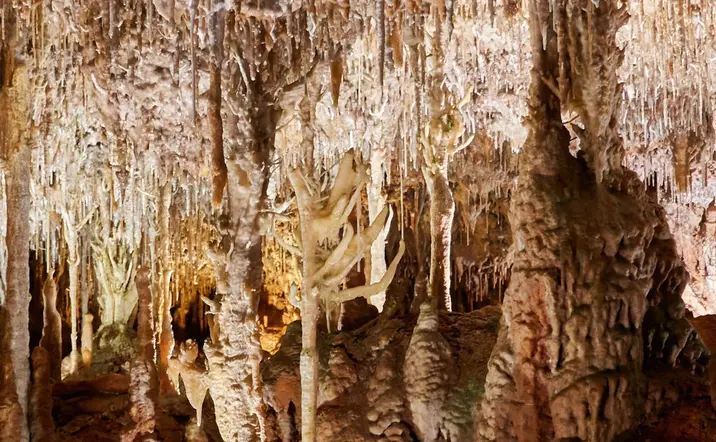 Excursión a las Cuevas Hams