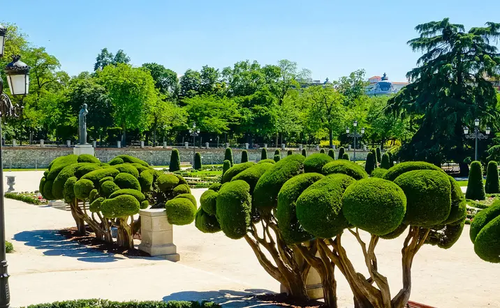 Tour a pie por el Parque de El Retiro