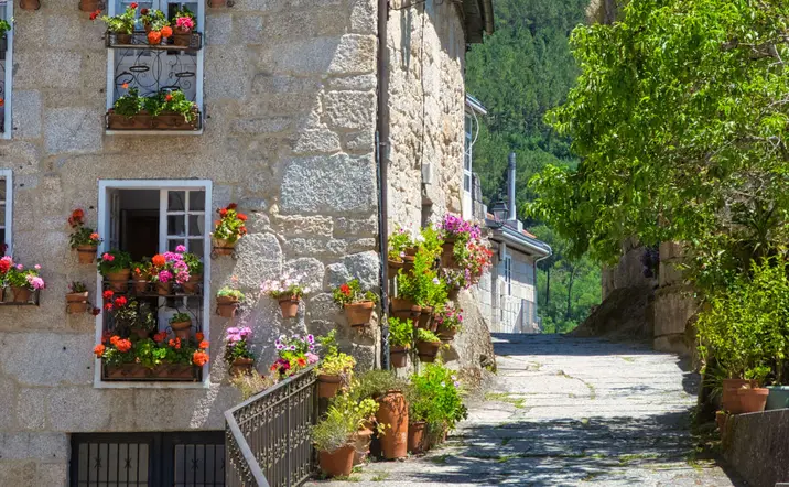 Free Tour por Ribadavia