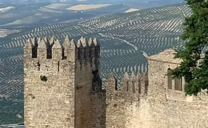 Visita Guiada del Castillo de Sabiote