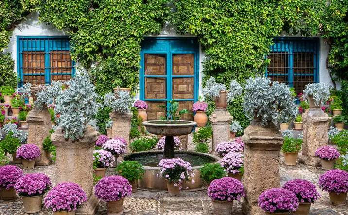 Visita guiada al Palacio de Viana y sus patios