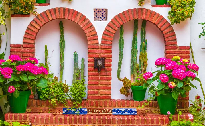 En esta visita guiada a los patios cordobeses nos acercaremos a la cultura de esta ciudad andaluza.