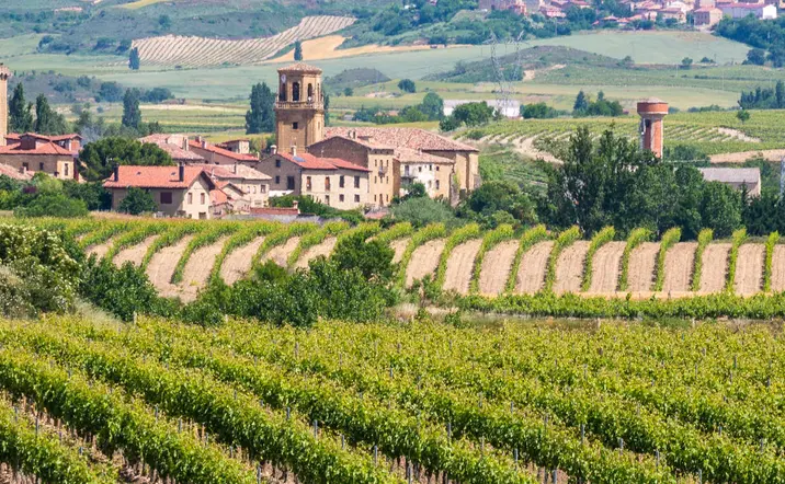 Excursión a La Rioja y sus bodegas desde Bilbao - buendía