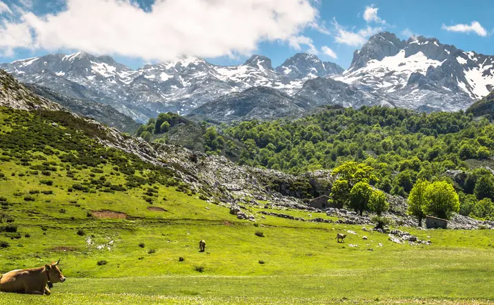Free Tour en Liébana