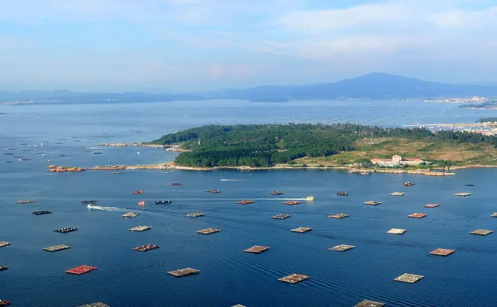 Paseo en barco por la ría y degustación de mejillones en O Grove
