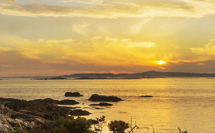 Paseo en barco con mariscada a la puesta de sol en O Grove