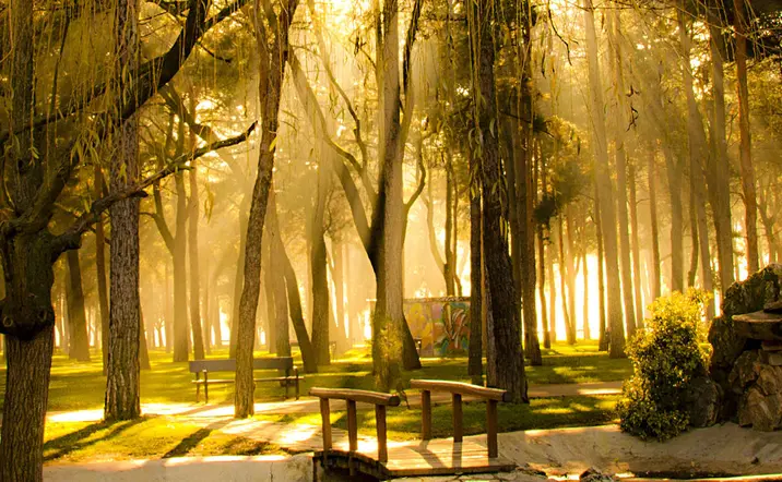 Tour a pie por Ponferrada y visita guiada al Castillo de los Templarios