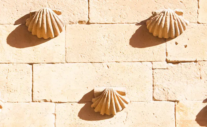 Tour Privado a Pie por Salamanca