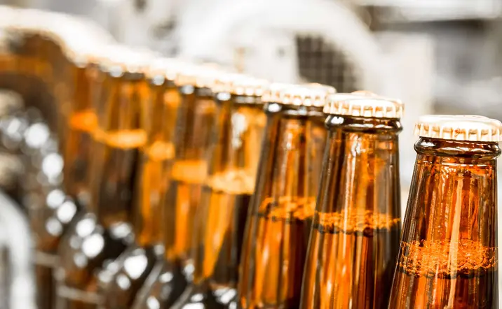 Cata y visita a una fábrica de cerveza en una antigua mina