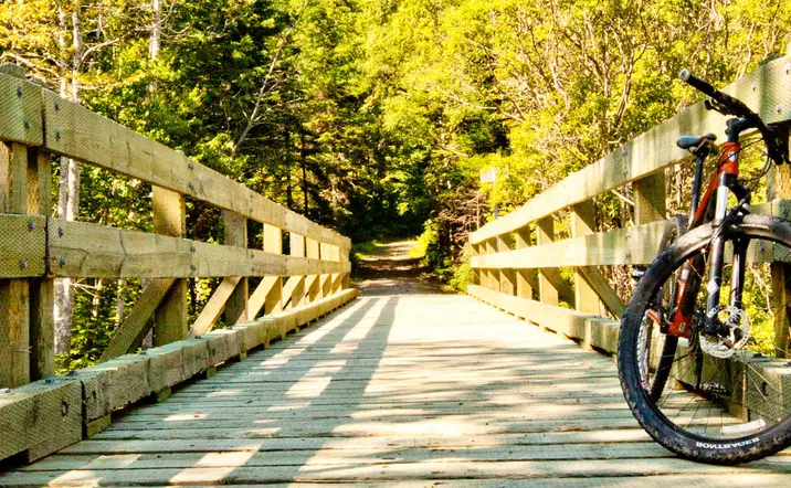 Alquiler de bici por la Senda del Oso
