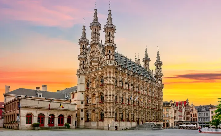 Catedral y Ayuntamiento en la gran plaza de Lovaina - Free Tour Lovaina imprescindible - Visitas guiadas y Excursiones Buendía Bélgica