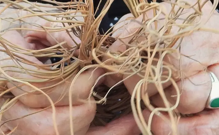 Visita guiada por el Conjunto Patrimonial de El Romeral