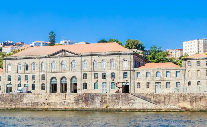Free tour de la Ciudad Vieja y Ribeira de Oporto - buendía