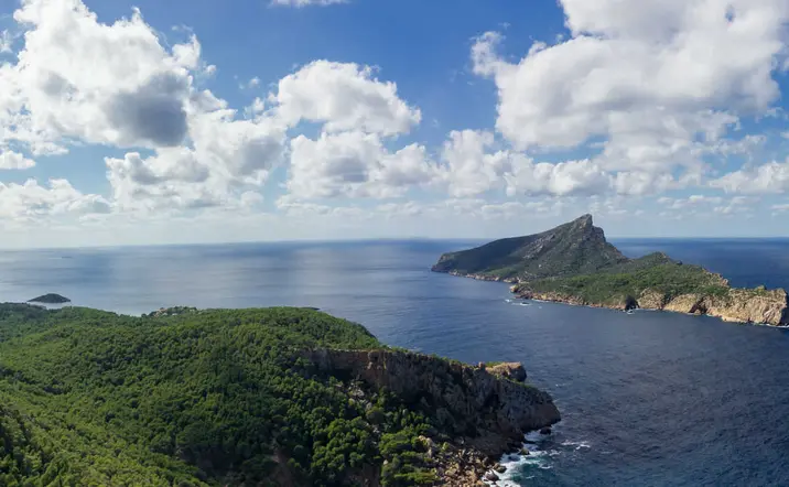Excursión en barco al Parque Natural de la Isla Dragonera