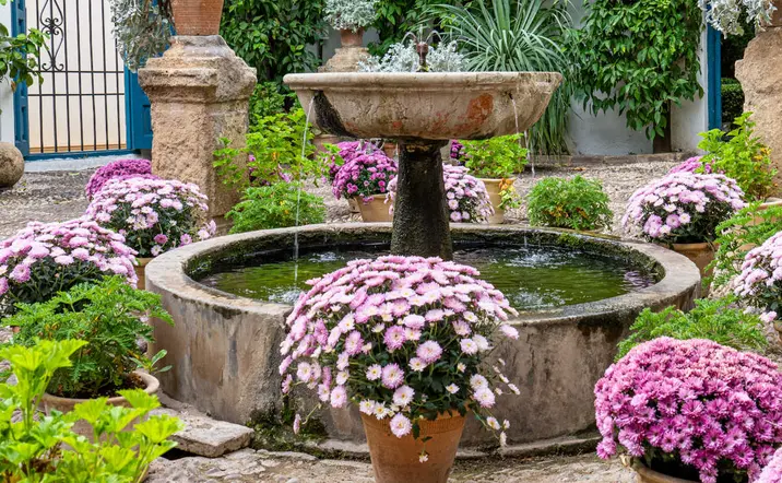 Visitar los Patios de Córdoba