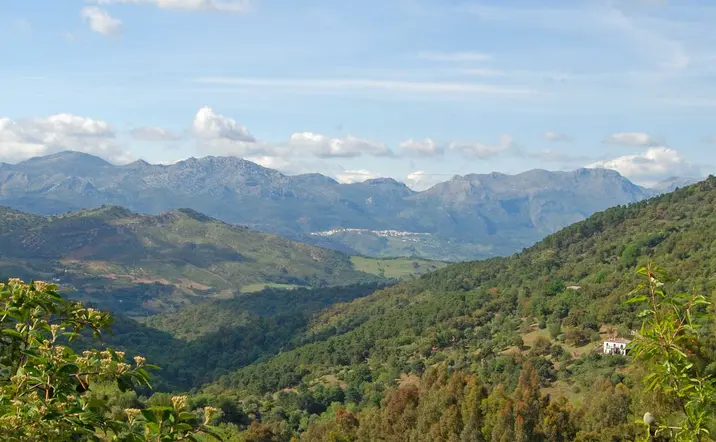 Excursión a Los Reales de Sierra Bermeja con senderismo