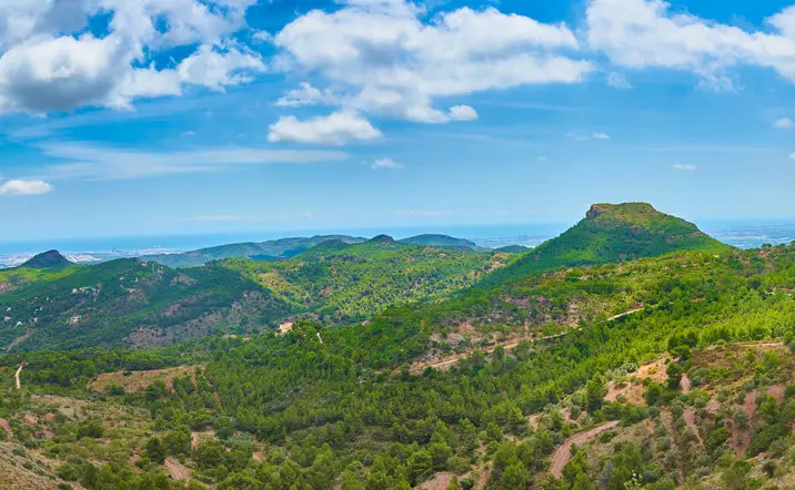 Excursión en 4x4 por el Parque Natural de Calderona desde Valencia - buendía