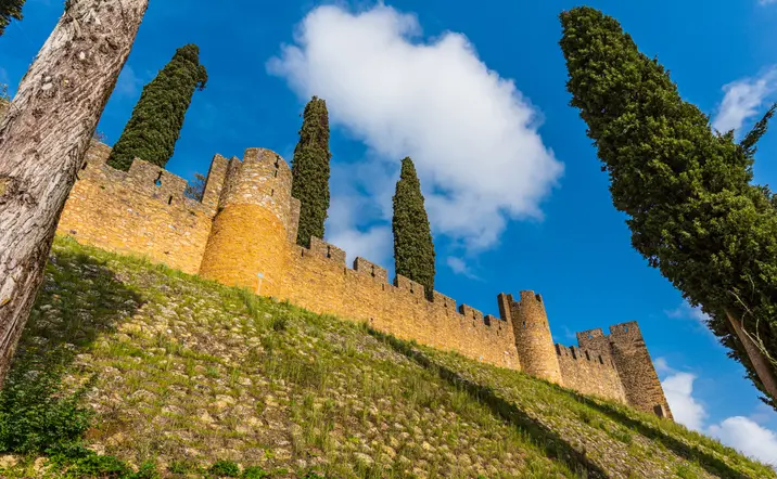 Excursión privada a Tomar desde Lisboa - buendía