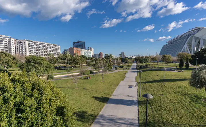 Tour en bici por la Albufera - buendía