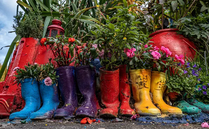 Tour alternativo por Copenhague - buendía