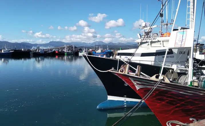 uerto pequero de Santoña con una bella imagen de barcos de diferentes colores.