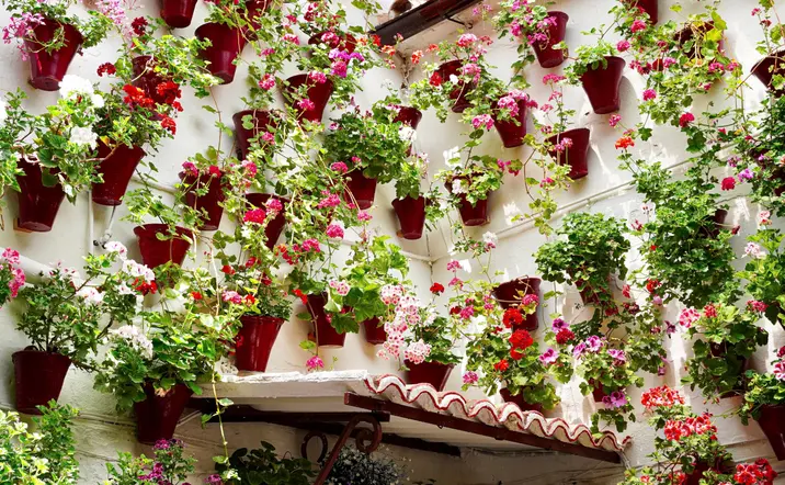 Festival Patios de Córdoba, declarado Patrimonio Inmaterial de la Humanidad.