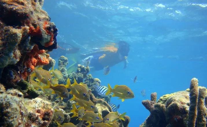 Buceo en las aguas de Colombia