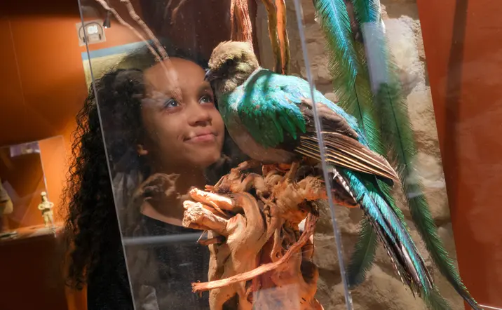 Entre vitrinas y utensilios antiguos, un pájaro aparece donde nadie lo espera. Y por un segundo, todo el museo se detiene.